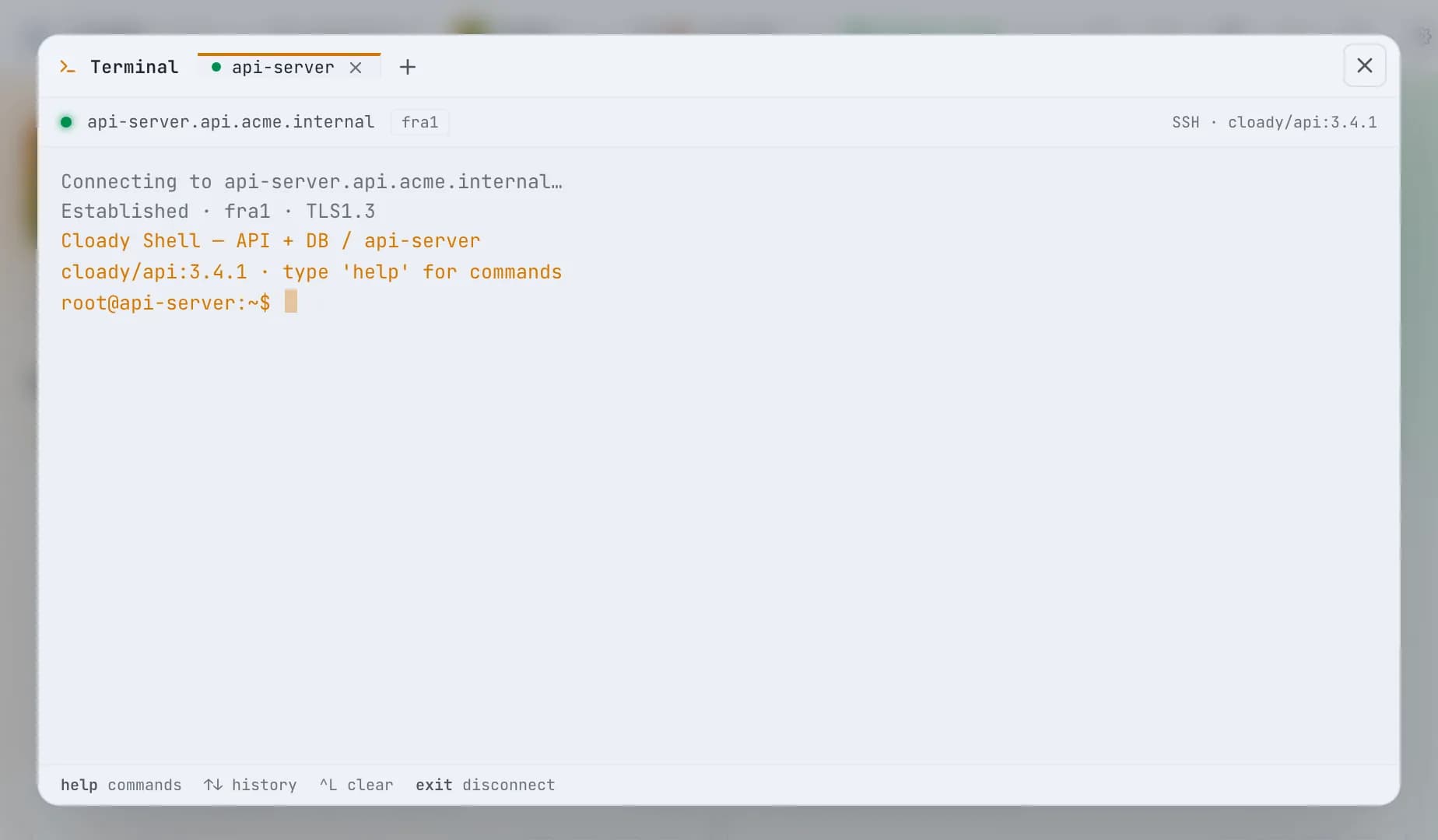 Cloady Terminal · shell en api-server